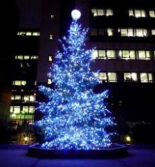 【お題日記】2011年の喜怒哀楽を報告してください！