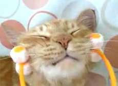 【お題日記】男の美学ってなに？