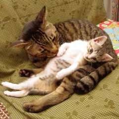 【お題日記】年の差なんて、気にします？