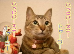 デジからメールキタ