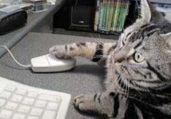 【お題日記】堀江貴文氏に期待する？