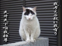 【お題日記】「さとり世代」身近でも感じますか？