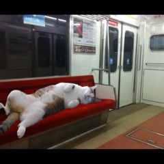 【お題日記】地下鉄・バスの24 時間運行、賛成ですか？