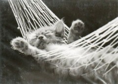 【お題日記】一日体験してみたい職業