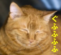 【お題日記】恋人のことを何て呼んでいますか？