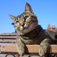 【お題日記】考え過ぎちゃダメですか？