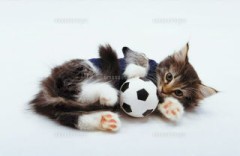 【お題日記】2020 年東京オリンピック決定！