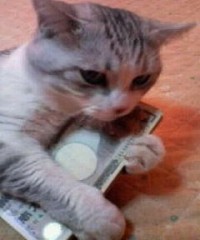 【お題日記】もしも100 兆円あったら、働きますか？