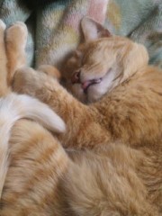 愛ちゃん、舌出てますよ♪