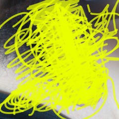 一日限定( *･ω･)ﾉ