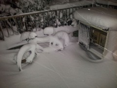 何にも出来ないぞ