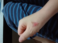 運動してますか？