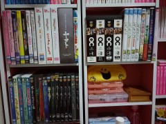 何系の映画が好き？