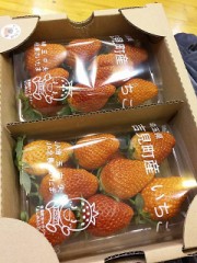 早い・遅い、どっちがいい？