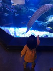 今では癖になっちゃったこと