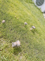 どうしても我慢できない時どうする？