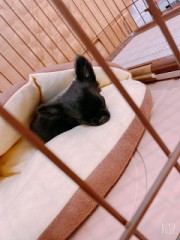 あなたの生き甲斐は？