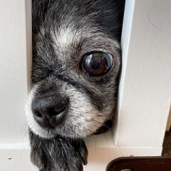 臭いが気になった時はどうする？