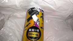 蝙蝠かと思ったらヤモリやった