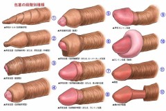 あなたは何本見たことがありますか？