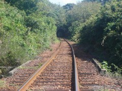 うなぎパイって４種類あったんですね（＾＾）