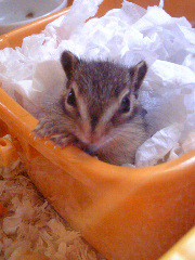 今日は久しぶりに...ぬくい(^_^)