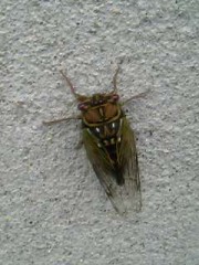 本日も快晴なり(^O^)!!