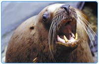 今月初ですね(^_^;)