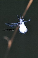 今日は本職は休み(^O^)