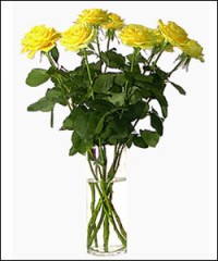 ちょうど一週間...