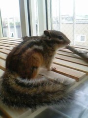 本日2回目の登場です!