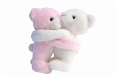 函館から寒い便り..