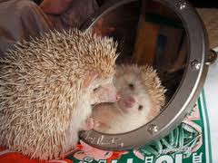 書きまくりですね(^_^;