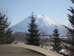 マイブームと言えば..自然(^_^;)