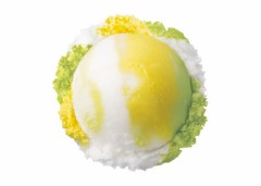 【お題日記】初Hは好きな人だった？