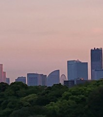 無料レッスンや無料体験利用した事ある