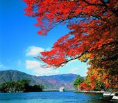 【お題日記】春夏秋冬、いつが好き？