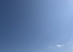 春が近づいてる