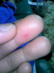 今日のバイトで。