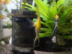 東軽井沢(違)から帰還