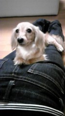 日替わり本日は…☆☆