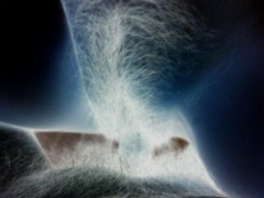 お疲れさま(^o^)/