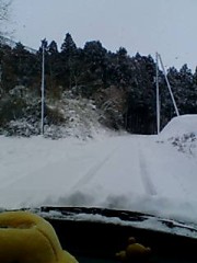 めっちゃすごい雪！！