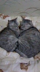 ☆おはようございます。（＾－＾）☆