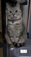 ☆明日は仕事休みです☆