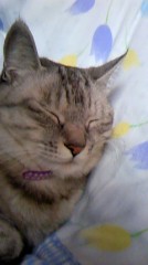 今日は仕事休みでした。