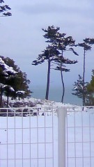 ★おはようございます。（o^∀＾o)★