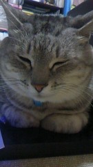 ☆こんにちは(＾∀＾）★