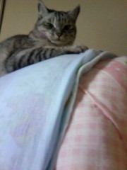 ☆明日は仕事休みです☆(＾∀＾）