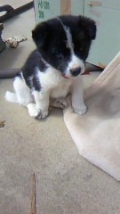 今日の画像は？